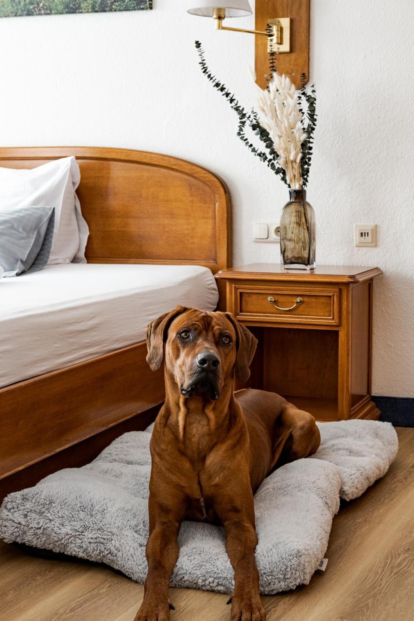 Hotel Goldener Hirsch Kaufbeuren Dış mekan fotoğraf