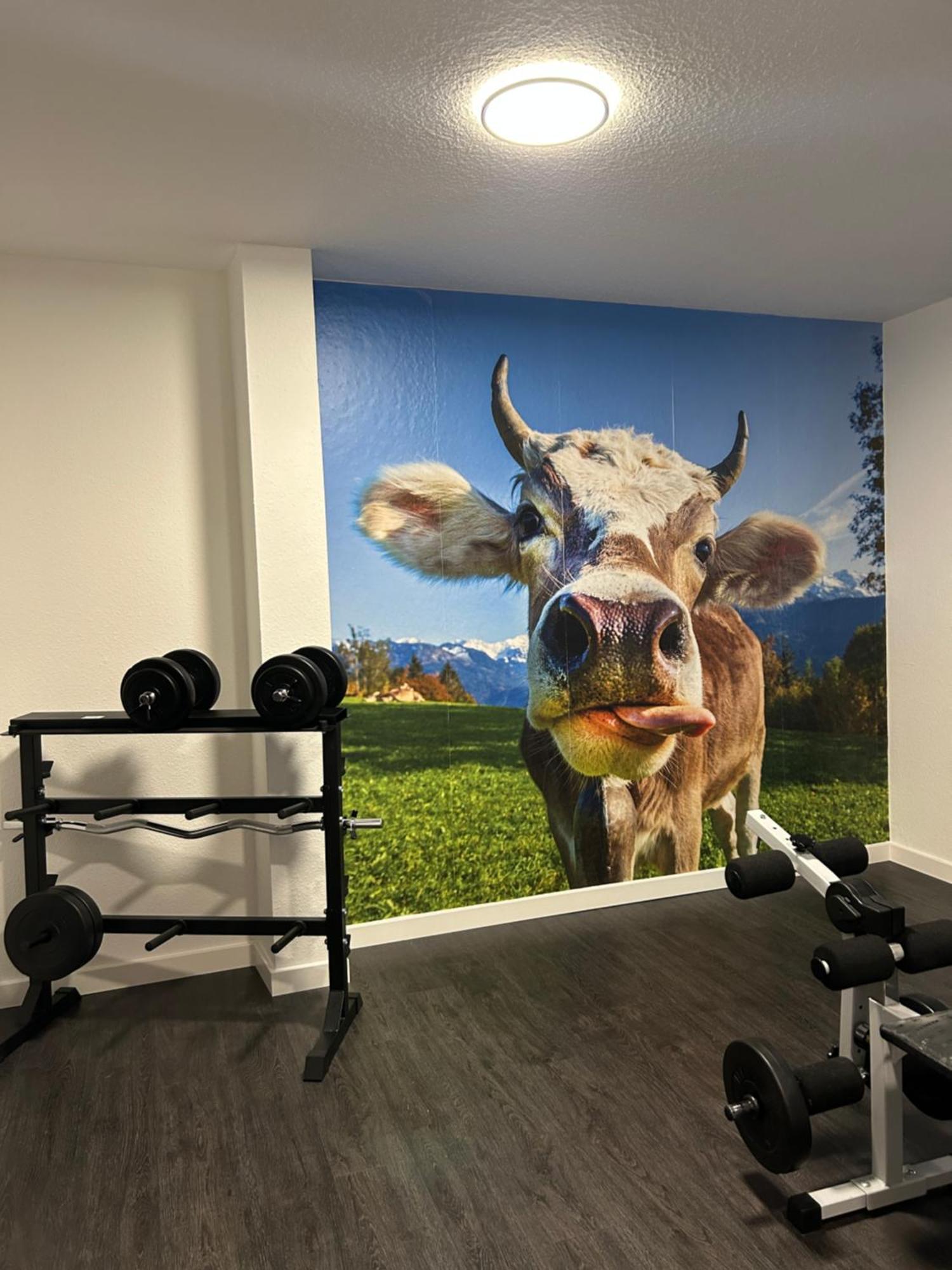 Hotel Goldener Hirsch Kaufbeuren Dış mekan fotoğraf